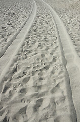 Image showing Tire tracks on the beach