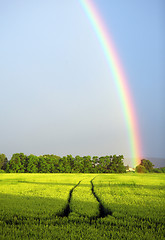 Image showing Landscape with rainbow