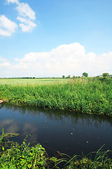 Image showing Green field