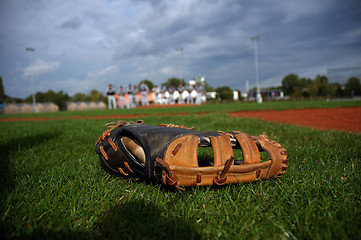 Image showing Baseball glove in the grass