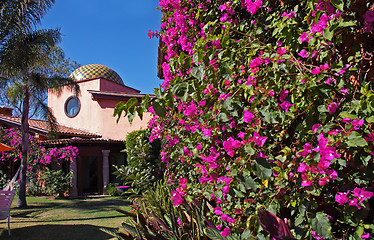 Image showing Terrace of hotel