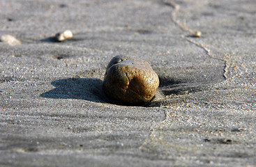 Image showing Stone on beach, Puerto Escondido