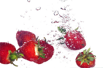 Image showing Strawberry