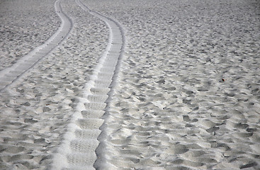 Image showing Tire tracks in sand on the beach