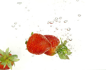 Image showing Splash strawberry