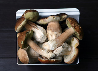 Image showing Tasty collected mushrooms