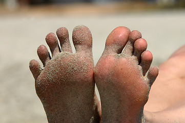 Image showing Feet of woman lying on the beach