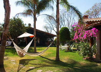 Image showing Hammock between palms