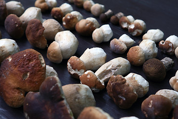 Image showing Tasty collected mushrooms