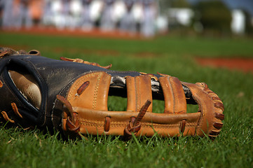 Image showing Baseball glove dropped in green grass