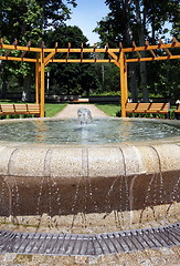 Image showing Garden with fountain