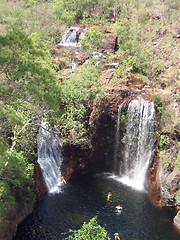 Image showing Kakadu