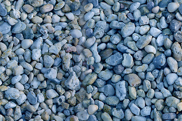 Image showing Blue Pebble Seamless Background