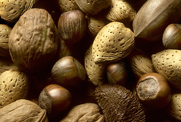 Image showing Variety of tree nuts
