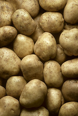 Image showing Potatoes filling frame