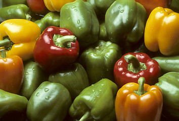 Image showing Bell peppers of various colors