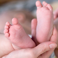 Image showing baby's feet