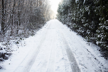 Image showing Snowy lane