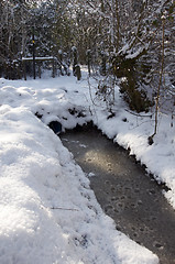 Image showing Winter 