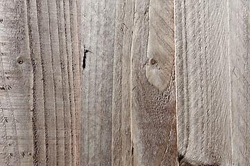 Image showing Wooden fence