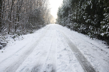 Image showing Snowy lane