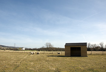 Image showing Shed