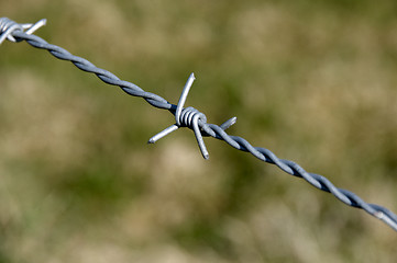 Image showing Barb wire