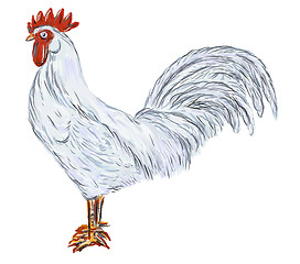 Image showing cock