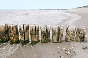 Image showing baltic sea groins