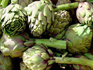 Image showing Artichokes