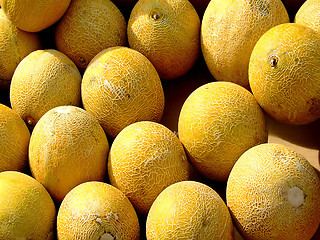 Image showing Melons