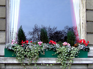 Image showing Reflection in a window