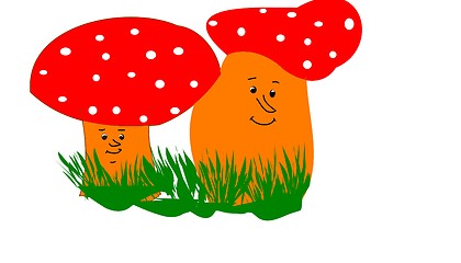 Image showing fly agaric