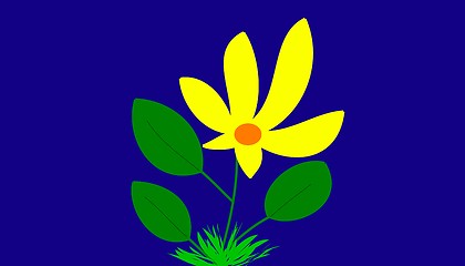 Image showing yellow flower