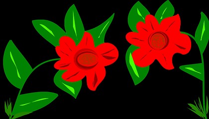 Image showing red flower