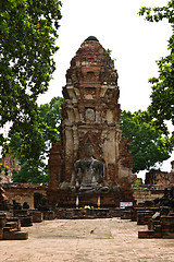 Image showing Buddha Image in Wat  Mahathat Ayutthaya of Thailand 