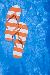 Image showing Pool Thongs