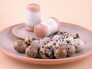 Image showing quail eggs