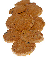 Image showing Cocoa chocolate cookies