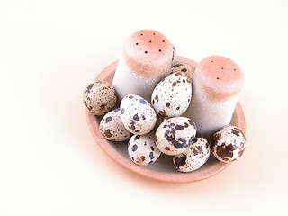 Image showing quail eggs