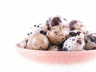 Image showing bowl of quail eggs