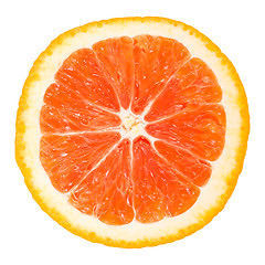 Image showing Orange