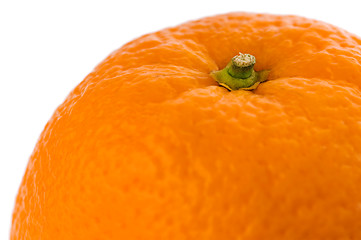 Image showing Orange