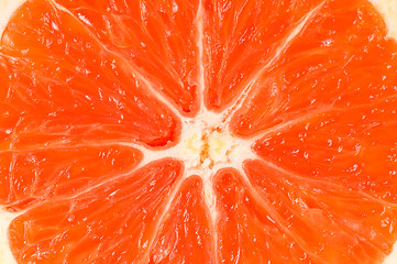 Image showing Orange