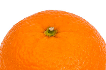 Image showing Orange