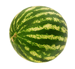 Image showing Watermelon