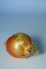 Image showing onion