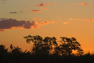 Image showing African sunset