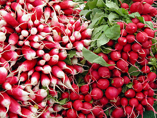 Image showing Radish