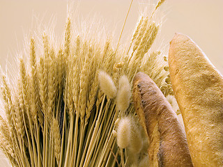 Image showing Bread and wheat
